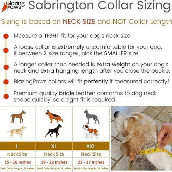 BlazingPaws Sabrington Spiked Leather Dog Collar XL (19-22in) - Picture 6 of 6